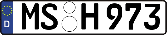 MS-H973