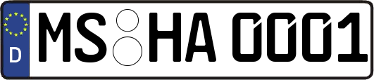 MS-HA0001