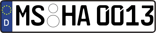 MS-HA0013