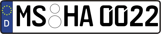 MS-HA0022