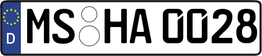 MS-HA0028