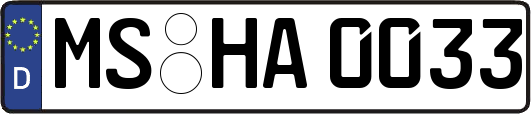 MS-HA0033