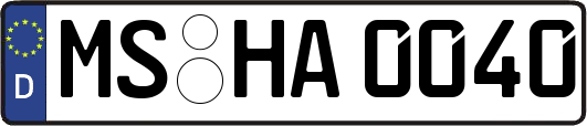 MS-HA0040