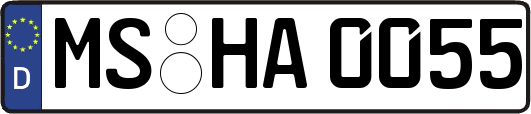 MS-HA0055