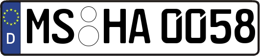MS-HA0058