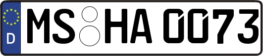 MS-HA0073