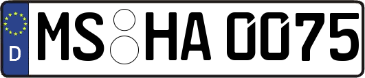 MS-HA0075
