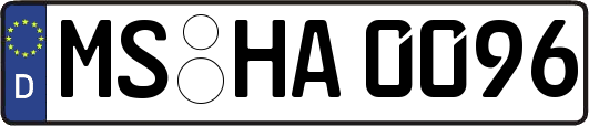 MS-HA0096