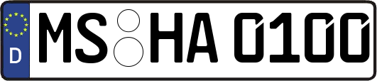 MS-HA0100