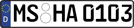 MS-HA0103
