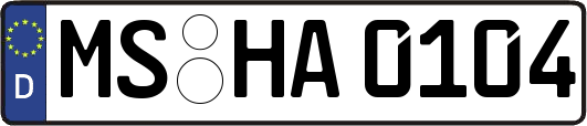 MS-HA0104