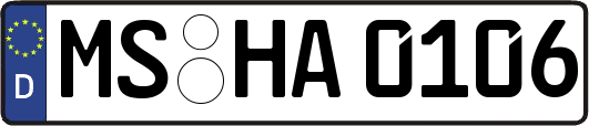 MS-HA0106