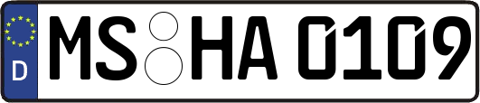 MS-HA0109
