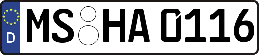 MS-HA0116