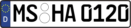 MS-HA0120