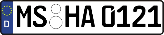 MS-HA0121