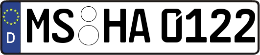 MS-HA0122