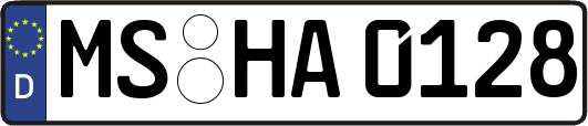 MS-HA0128