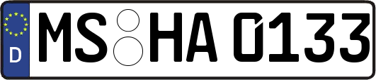 MS-HA0133