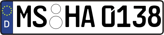 MS-HA0138