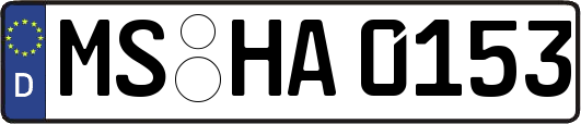 MS-HA0153