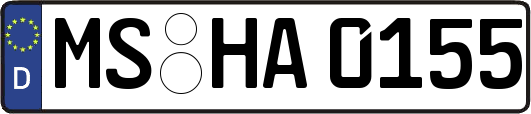 MS-HA0155