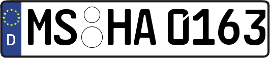 MS-HA0163