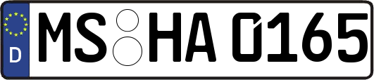 MS-HA0165