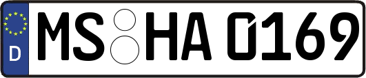 MS-HA0169