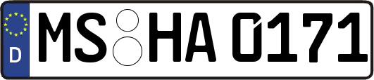 MS-HA0171
