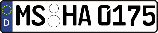 MS-HA0175