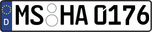 MS-HA0176