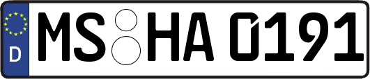 MS-HA0191