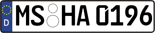 MS-HA0196