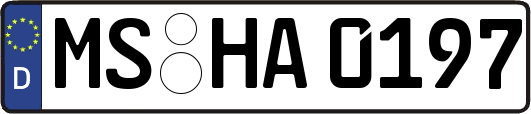 MS-HA0197