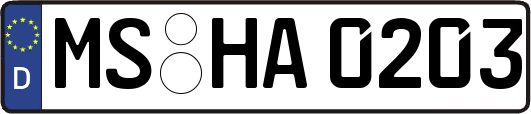 MS-HA0203