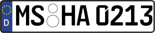 MS-HA0213