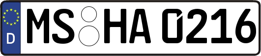 MS-HA0216