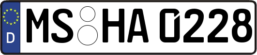 MS-HA0228