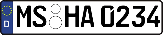 MS-HA0234