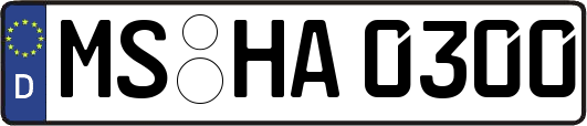 MS-HA0300