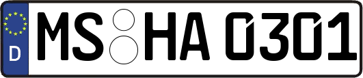 MS-HA0301