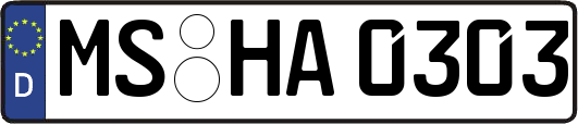 MS-HA0303