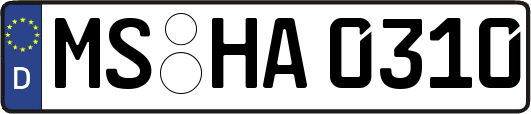 MS-HA0310