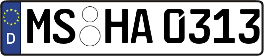 MS-HA0313