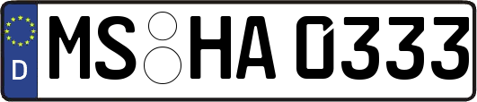 MS-HA0333