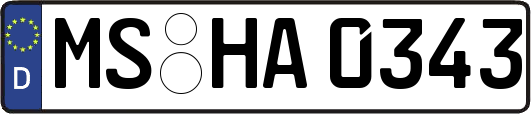 MS-HA0343