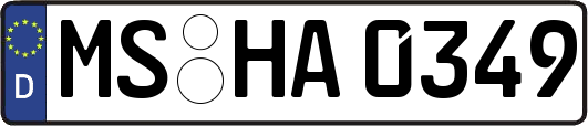 MS-HA0349
