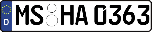 MS-HA0363