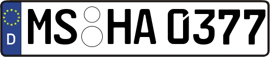 MS-HA0377